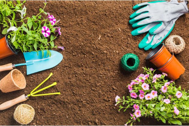 vasos pequenos ramos de plantas , pá, e luvas são alguns itens para dar inicio as dicas de jardinagem para iniciantes