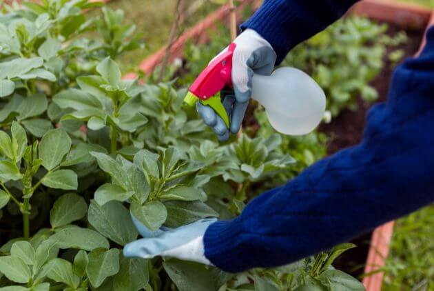 homem usando fertilizantes para plantas