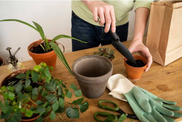 mesa com vasos e sendo preparado com terra para plantil
