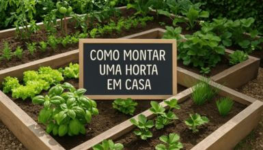 horta em canteiro diretamente no terreno com separação por tipos