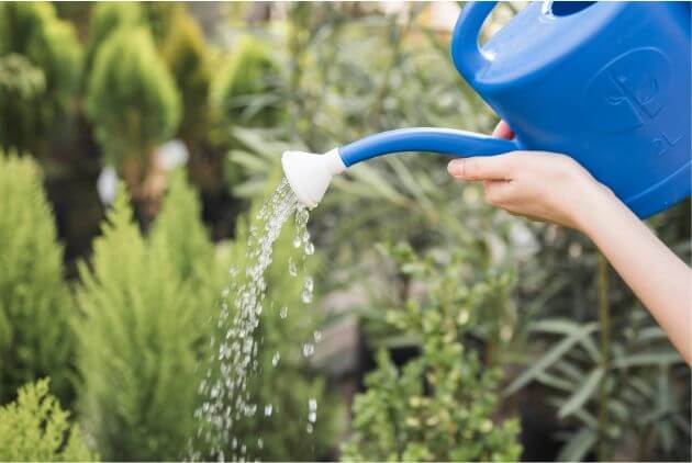 mulher regando planta com regador azul 
