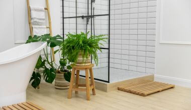 plantas para banheiro com pouca luz